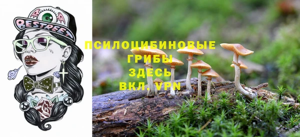 дмт Иннополис