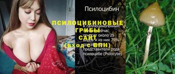 дмт Иннополис