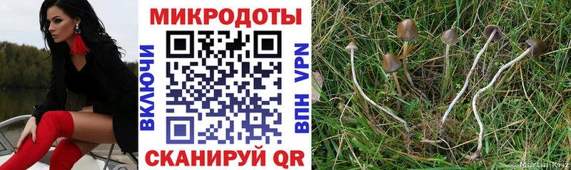 Купить закладки  Дальнереченск  Псилоцибиновые грибы MAGIC MUSHROOMS 